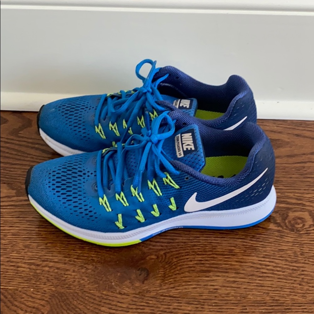 Nike Pegasus 33